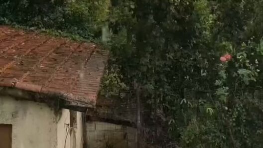 Καλάβρυτα: «Έριξε καρέκλες» με προβλήματα από χαλαζόπτωση και «πύρινο» κεραυνό ΒΙΝΤΕΟ