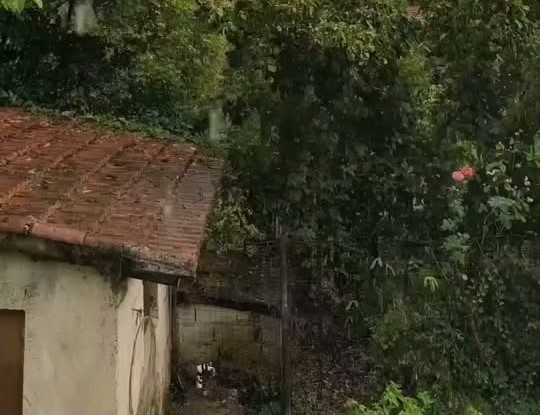 Καλάβρυτα: «Έριξε καρέκλες» με προβλήματα από χαλαζόπτωση και «πύρινο» κεραυνό ΒΙΝΤΕΟ