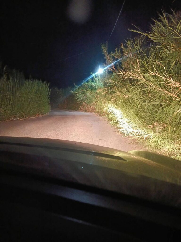 Κάτω Αχαΐα: Επικίνδυνότητα για τροχαία στη θέση «Κολοσάρα» με καλάμια στο οδόστρωμα ΦΩΤΟ 5 Κάτω Αχαΐα: Επικίνδυνότητα για τροχαία στη θέση «Κολοσάρα» με καλάμια στο οδόστρωμα ΦΩΤΟ
