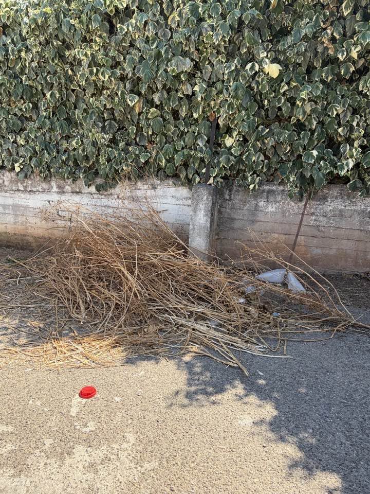 Αίγιο: Παρατημένα σκουπίδια και κλαδέματα για πάνω από δύο μήνες ΦΩΤΟ 8 Αίγιο: Παρατημένα σκουπίδια και κλαδέματα για πάνω από δύο μήνες ΦΩΤΟ