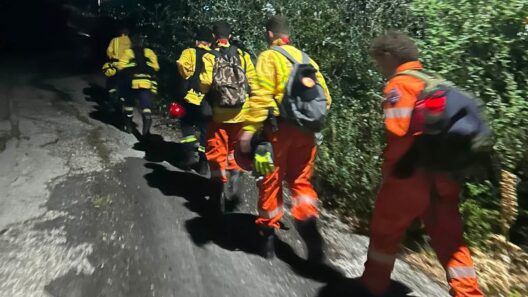 Σπαρτιά: Κατάσβεση πυρκαγιάς από Εθελοντές και Πυροσβέστες ΒΙΝΤΕΟ-ΦΩΤΟ 12 Σπαρτιά: Κατάσβεση πυρκαγιάς από Εθελοντές και Πυροσβέστες ΒΙΝΤΕΟ-ΦΩΤΟ