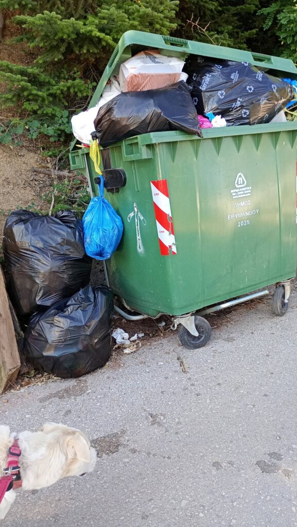 Ερύμανθος: «Καλό ταξίδι» με ξεχειλισμένους κάδους στην γραφική περιοχή Μίχα – Τσαπουρνιά ΦΩΤΟ 6 Ερύμανθος: «Καλό ταξίδι» με ξεχειλισμένους κάδους στην γραφική περιοχή Μίχα – Τσαπουρνιά ΦΩΤΟ