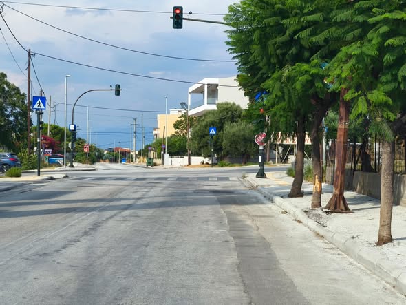 Πάτρα: «Τσιμέντωσαν» τα δέντρα έξω από τα σχολεία της οδού Αυστραλίας ΦΩΤΟ