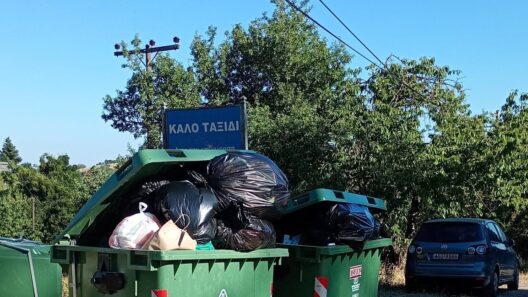 Ερύμανθος: «Καλό ταξίδι» με ξεχειλισμένους κάδους στην γραφική περιοχή Μίχα – Τσαπουρνιά ΦΩΤΟ