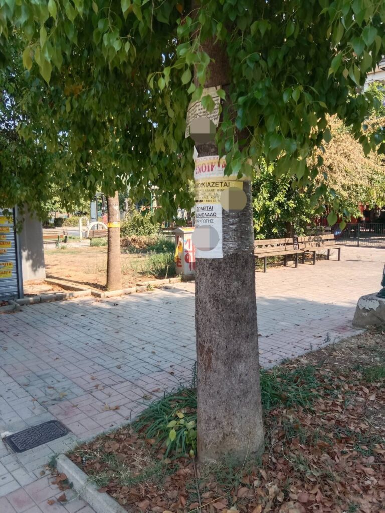 Πάτρα: Δέντρα, παγκάκια και κολώνες έγιναν «πίνακες αγγελιών» με ενοικιαστήρια ΦΩΤΟ