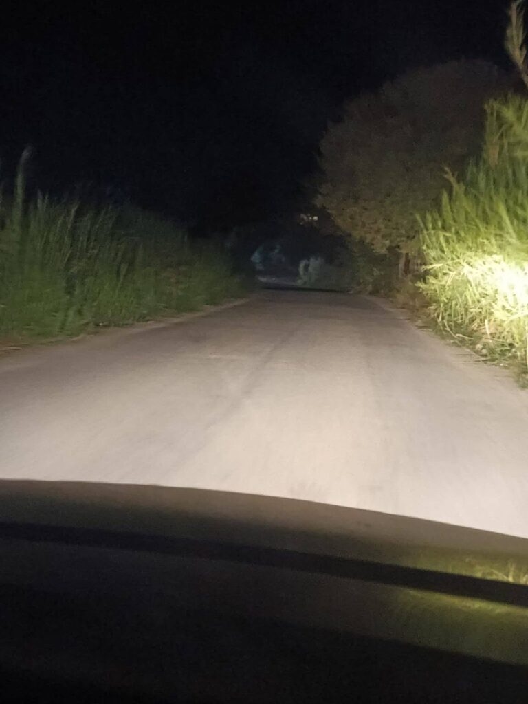 Κάτω Αχαΐα: Επικίνδυνότητα για τροχαία στη θέση «Κολοσάρα» με καλάμια στο οδόστρωμα ΦΩΤΟ 6 Κάτω Αχαΐα: Επικίνδυνότητα για τροχαία στη θέση «Κολοσάρα» με καλάμια στο οδόστρωμα ΦΩΤΟ