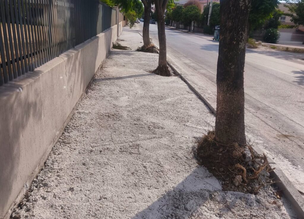 Πάτρα: «Τσιμέντωσαν» τα δέντρα έξω από τα σχολεία της οδού Αυστραλίας ΦΩΤΟ