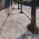 Πάτρα: «Τσιμέντωσαν» τα δέντρα έξω από τα σχολεία της οδού Αυστραλίας ΦΩΤΟ