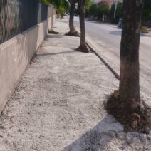 Πάτρα: «Τσιμέντωσαν» τα δέντρα έξω από τα σχολεία της οδού Αυστραλίας ΦΩΤΟ 1 Πάτρα: «Τσιμέντωσαν» τα δέντρα έξω από τα σχολεία της οδού Αυστραλίας ΦΩΤΟ