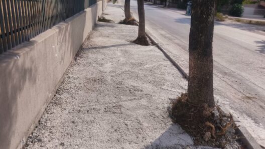 Πάτρα: «Τσιμέντωσαν» τα δέντρα έξω από τα σχολεία της οδού Αυστραλίας ΦΩΤΟ 18 Πάτρα: «Τσιμέντωσαν» τα δέντρα έξω από τα σχολεία της οδού Αυστραλίας ΦΩΤΟ