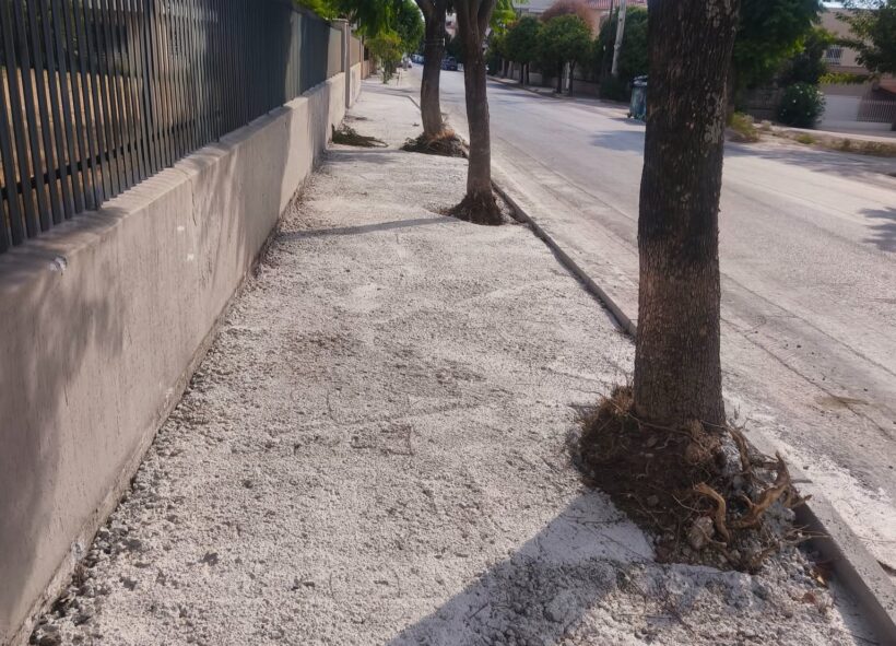 Πάτρα: «Τσιμέντωσαν» τα δέντρα έξω από τα σχολεία της οδού Αυστραλίας ΦΩΤΟ