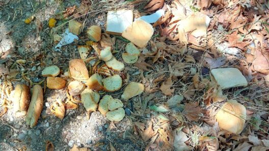 Αχαΐα: Στην διασταύρωση Πούντας – Καλαβρύτων «ευρήματα για τους αρχαιολόγους του μέλλοντος...»! ΦΩΤΟ