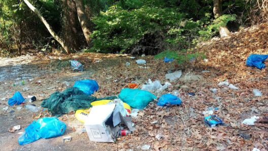 Αιγιάλεια: Ο δήμος καθάρισε την οδό Πούντας-Καλαβρύτων μετά το ρεπορτάζ του Patrapress ΦΩΤΟ