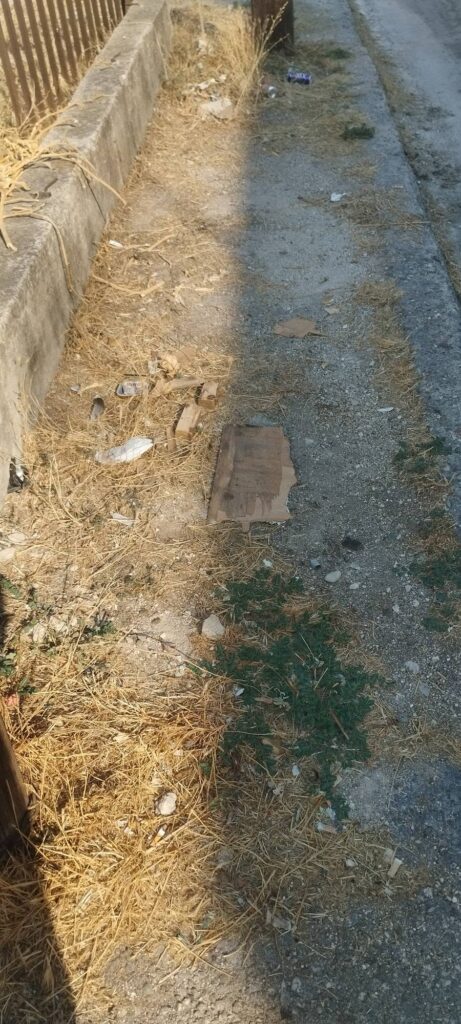 Ζαρουχλέικα: Πεζοδρόμια «ζούγκλα» με χόρτα και σκουπίδια ΦΩΤΟ