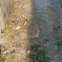 Ζαρουχλέικα: Πεζοδρόμια «ζούγκλα» με χόρτα και σκουπίδια ΦΩΤΟ 1 Ζαρουχλέικα: Πεζοδρόμια «ζούγκλα» με χόρτα και σκουπίδια ΦΩΤΟ