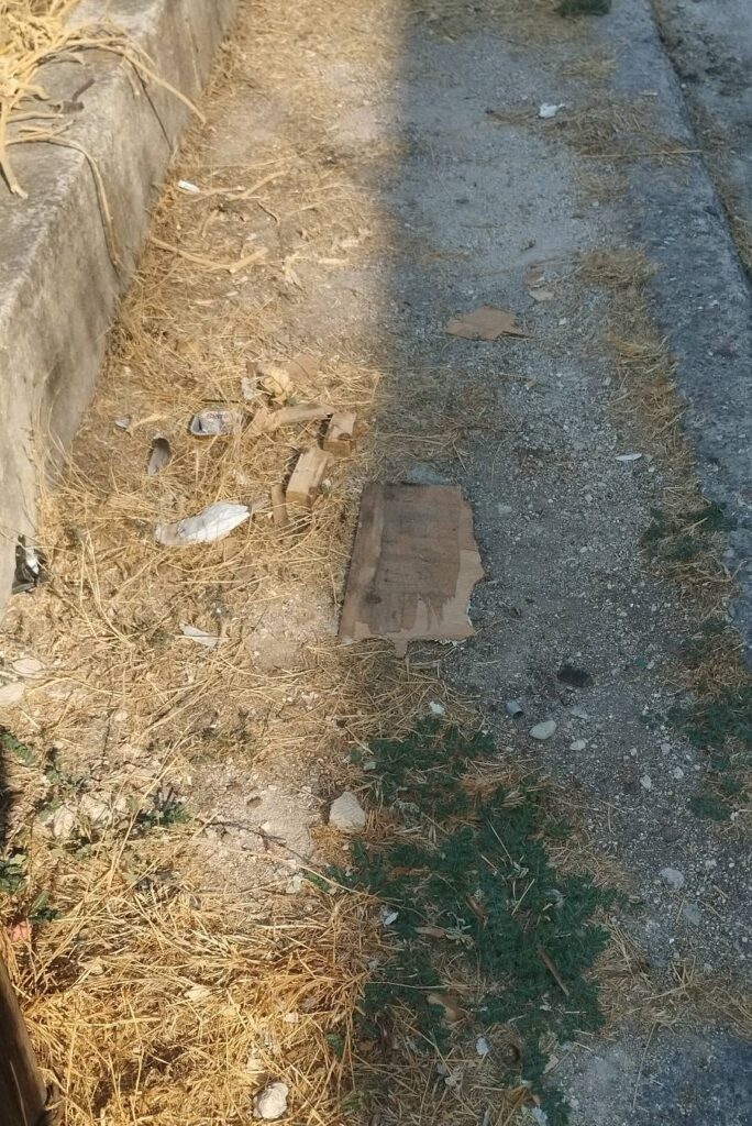 Ζαρουχλέικα: Πεζοδρόμια «ζούγκλα» με χόρτα και σκουπίδια ΦΩΤΟ