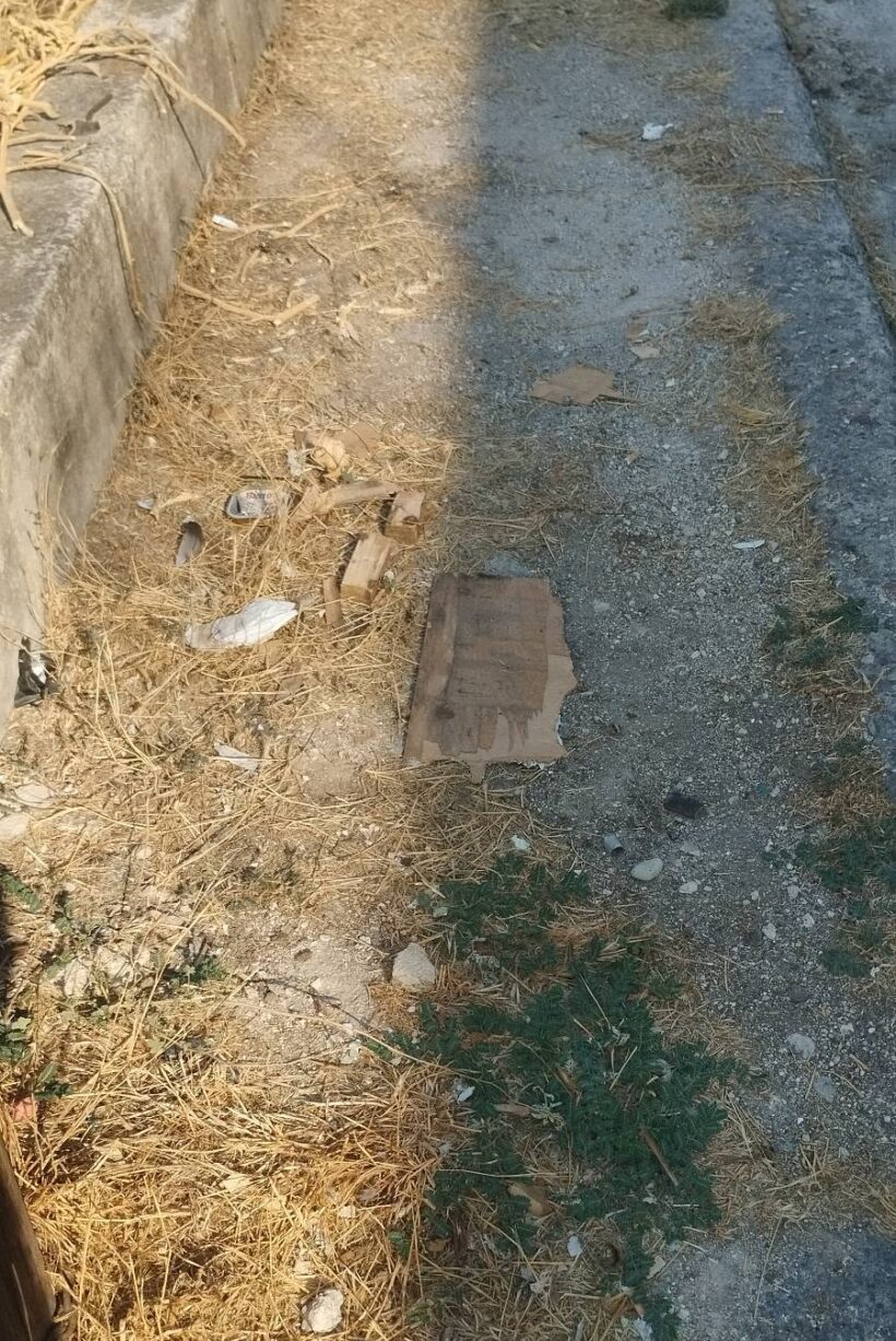 Ζαρουχλέικα: Πεζοδρόμια «ζούγκλα» με χόρτα και σκουπίδια ΦΩΤΟ