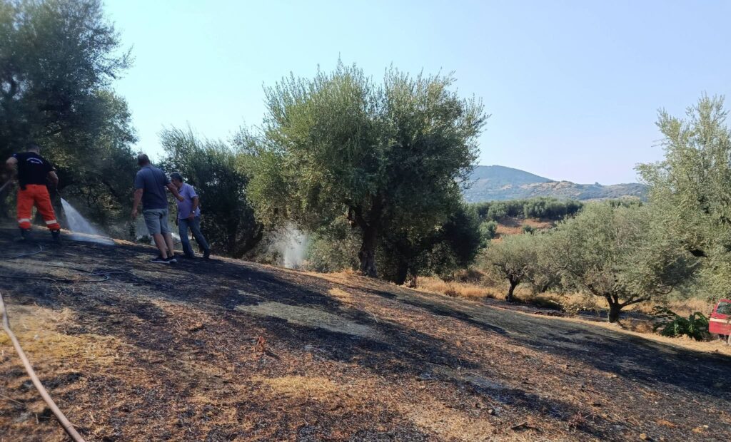 Δάφνες: Πυρκαγιά απείλησε καλλιέργειες αλλά επενέβησαν κάτοικοι και εθελοντές αποτελεσματικά ΦΩΤΟ