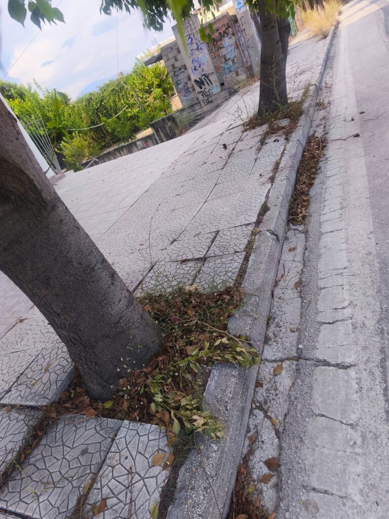 Πάτρα: «Τσιμέντωσαν» τα δέντρα έξω από τα σχολεία της οδού Αυστραλίας ΦΩΤΟ