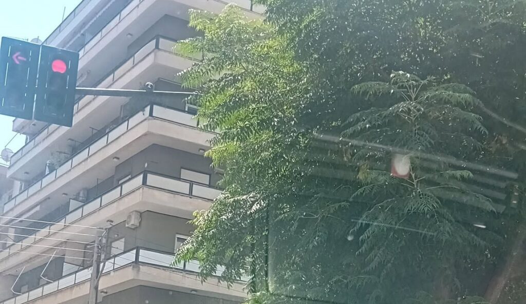 Φανάρι με κόκκινο φως, μερικώς κρυμμένο από πράσινα φύλλα δέντρου, …