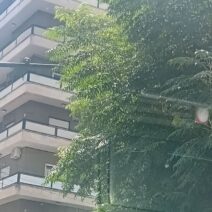 Φανάρι με κόκκινο φως, μερικώς κρυμμένο από πράσινα φύλλα δέντρου, …