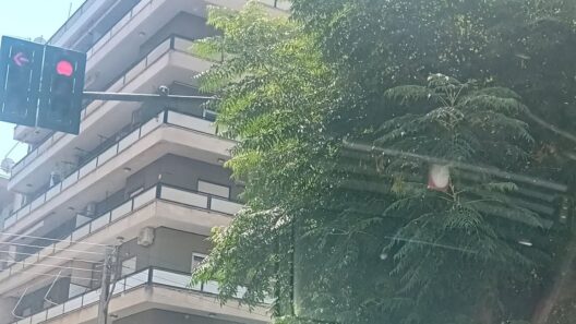 Φανάρι με κόκκινο φως, μερικώς κρυμμένο από πράσινα φύλλα δέντρου, …