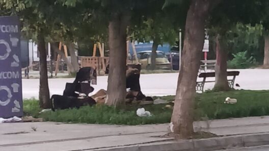 Αγυιά: «Καμπ» Ρομά δίπλα στο γήπεδο της Παναχαϊκής όπου παίζουν παιδιά ΦΩΤΟ