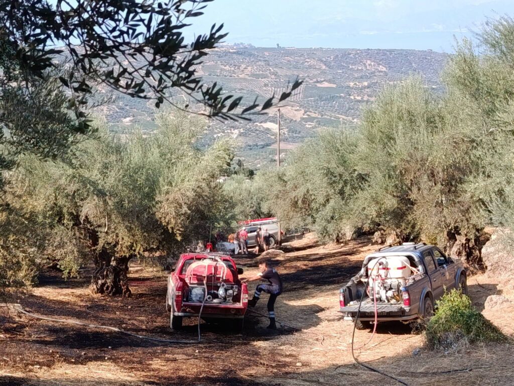 Δάφνες: Πυρκαγιά απείλησε καλλιέργειες αλλά επενέβησαν κάτοικοι και εθελοντές αποτελεσματικά ΦΩΤΟ