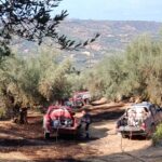 Δάφνες: Πυρκαγιά απείλησε καλλιέργειες και επενέβησαν κάτοικοι και εθελοντές ΦΩΤΟ
