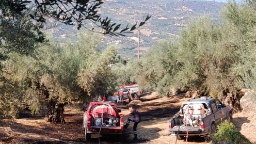 Δάφνες: Πυρκαγιά απείλησε καλλιέργειες αλλά επενέβησαν κάτοικοι και εθελοντές αποτελεσματικά ΦΩΤΟ 12 Δάφνες: Πυρκαγιά απείλησε καλλιέργειες αλλά επενέβησαν κάτοικοι και εθελοντές αποτελεσματικά ΦΩΤΟ