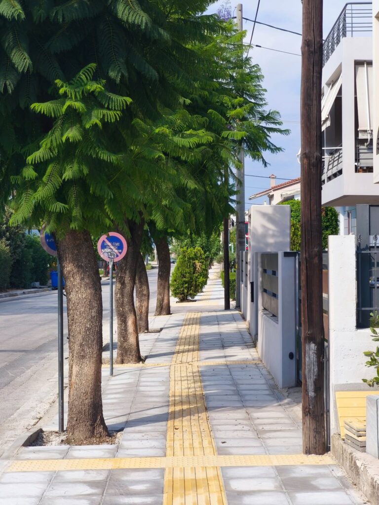 Πάτρα: «Τσιμέντωσαν» τα δέντρα έξω από τα σχολεία της οδού Αυστραλίας ΦΩΤΟ