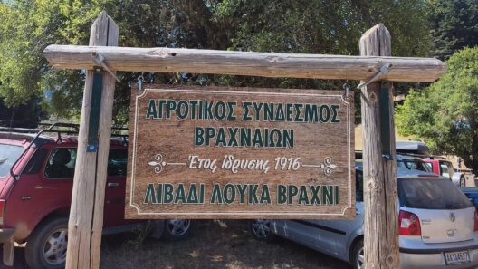Αντάμωμα στο λιβάδι της Λουκά στο Βραχνί ΦΩΤΟ