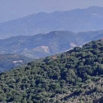 Ερύμανθος: Με κατεστραμμένο δρόμο ο γραφικός οικισμός «Γελαδινό» εν όψει χειμώνα ΦΩΤΟ