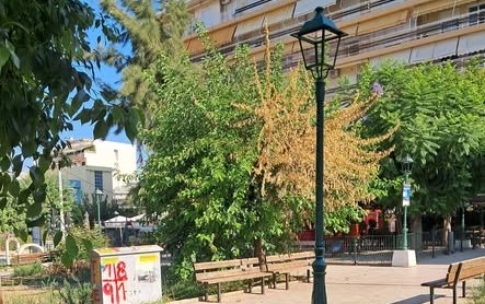 Πάτρα: Παρατημένη πάλι η πλατεία Αγίας Σοφίας με αποξηραμένα δέντρα ΦΩΤΟ