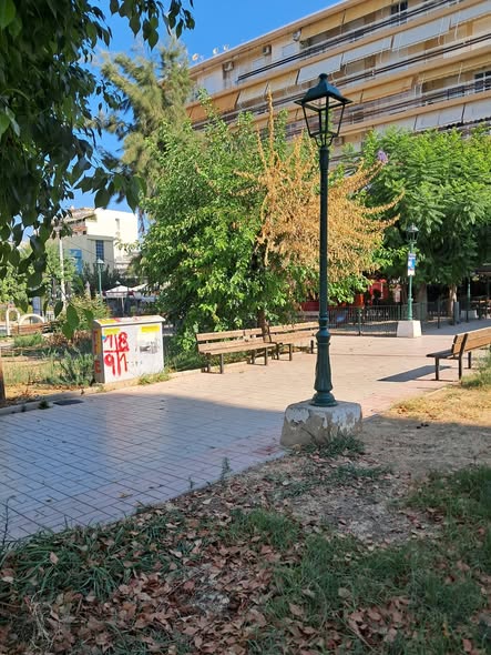 Πάτρα: Παρατημένη πάλι η πλατεία Αγίας Σοφίας με αποξηραμένα δέντρα ΦΩΤΟ 5 Πάτρα: Παρατημένη πάλι η πλατεία Αγίας Σοφίας με αποξηραμένα δέντρα ΦΩΤΟ