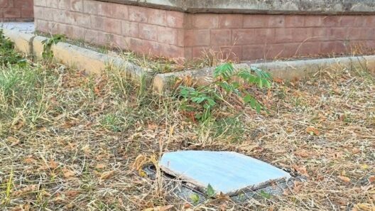 Μιντιλόγλι: «Παγίδα» για τα παιδιά επικίνδυνο φρεάτιο σε πλατεία ΦΩΤΟ 14 Μιντιλόγλι: «Παγίδα» για τα παιδιά επικίνδυνο φρεάτιο σε πλατεία ΦΩΤΟ