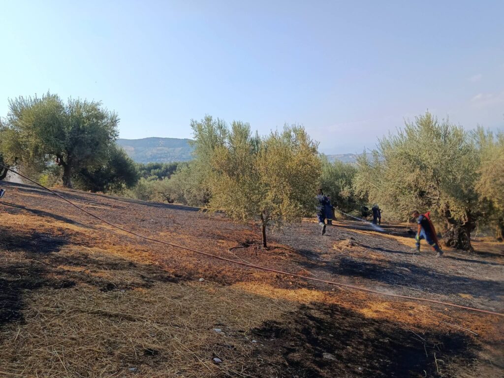 Δάφνες: Πυρκαγιά απείλησε καλλιέργειες αλλά επενέβησαν κάτοικοι και εθελοντές αποτελεσματικά ΦΩΤΟ