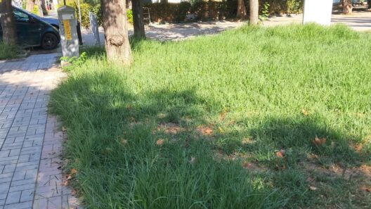 Πάτρα: Η πλατεία Αγίας Σοφίας σε εικόνα εγκατάλειψης – Χόρτα, σκουπίδια και αδιαφορία ΦΩΤΟ