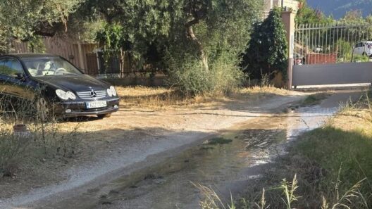 Ρωμανός: Ανεξέλεγκτο πότισμα με σπατάλη νερού να τρέχει για ώρες στους δρόμους ΦΩΤΟ 19 Ρωμανός: Ανεξέλεγκτο πότισμα με σπατάλη νερού να τρέχει για ώρες στους δρόμους ΦΩΤΟ