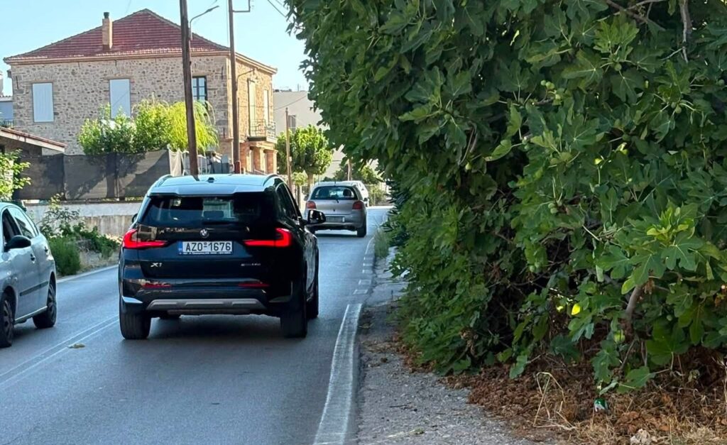 Μιντιλόγλι: Επικίνδυνη συκιά σε πεζοδρόμιο με φόβους για τροχαίο με πεζούς ΦΩΤΟ