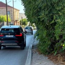 Μιντιλόγλι: Επικίνδυνη συκιά σε πεζοδρόμιο με φόβους για τροχαίο με πεζούς ΦΩΤΟ 1 Μιντιλόγλι: Επικίνδυνη συκιά σε πεζοδρόμιο με φόβους για τροχαίο με πεζούς ΦΩΤΟ