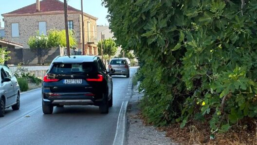 Μιντιλόγλι: Επικίνδυνη συκιά σε πεζοδρόμιο με φόβους για τροχαίο με πεζούς ΦΩΤΟ 12 Μιντιλόγλι: Επικίνδυνη συκιά σε πεζοδρόμιο με φόβους για τροχαίο με πεζούς ΦΩΤΟ