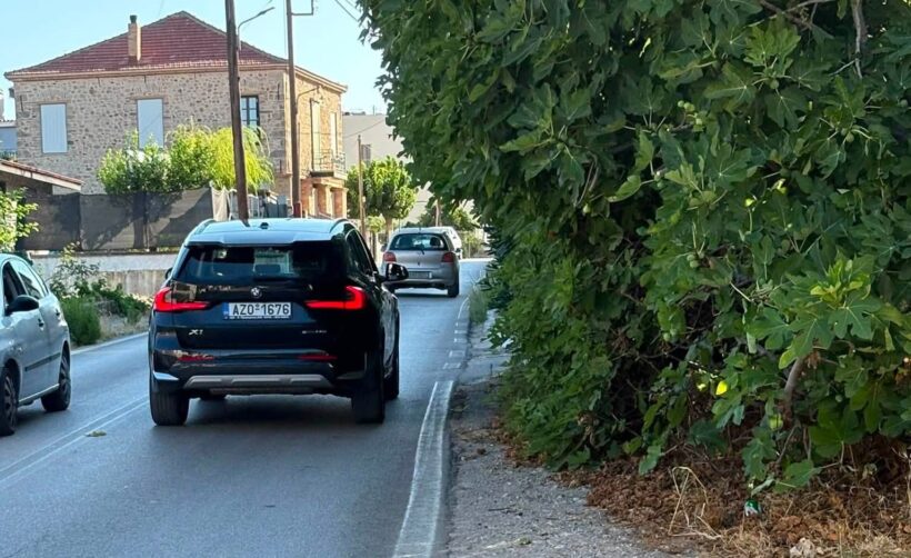 Μιντιλόγλι: Επικίνδυνη συκιά σε πεζοδρόμιο με φόβους για «θύματα» πεζούς ΦΩΤΟ