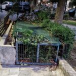 Πάτρα: Κλειστά τα δημοτικά ουρητήρια στην Πλατεία Ομονοίας με «φυσική» εξυπηρέτηση σε βλάστηση και παγκάκια ΦΩΤΟ