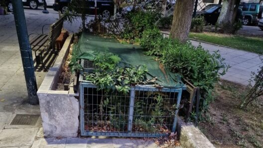 Πάτρα: Κλειστά τα δημοτικά ουρητήρια στην Πλατεία Ομονοίας με «φυσική» εξυπηρέτηση σε βλάστηση και παγκάκια ΦΩΤΟ 13 Κλειστά δημοτικά ορυτήρια στη Πλατεία Ομονοίας με φυσική εξαίρεση…