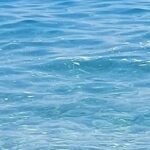 Ακράτα: Αφροί και λύματα στη θάλασσα προκαλούν «αποκαλύψεις» ΒΙΝΤΕΟ-ΦΩΤΟ