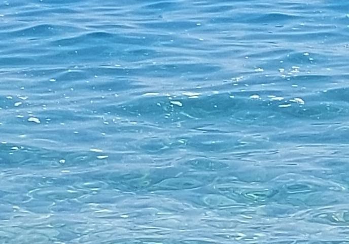 Ακράτα: Αφροί και λύματα στη θάλασσα προκαλούν «αποκαλύψεις» και διαμαρτυρίες ΒΙΝΤΕΟ-ΦΩΤΟ