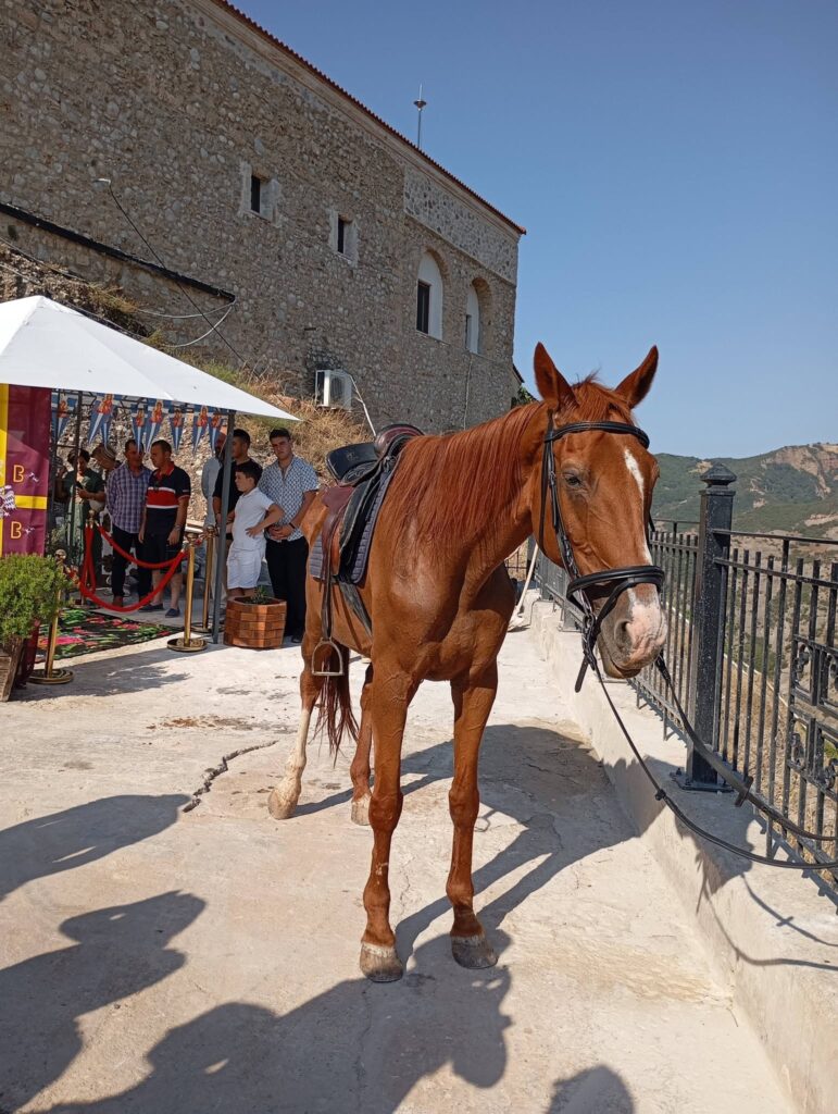 Αχαΐα: Τα άλογα προσκύνησαν και υποκλίθηκαν στην Παναγιά Μακελλαριά - Ξεχωριστό περιστατικό προκάλεσε συγκίνηση και θαυμασμό ΦΩΤΟ