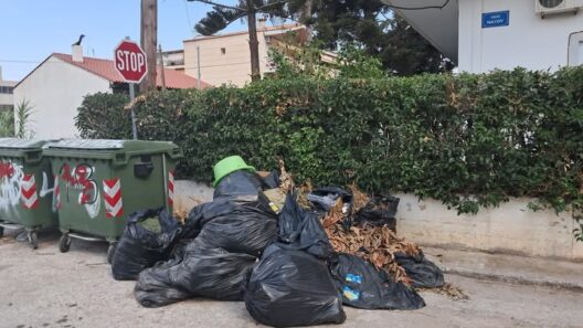 Ακράτα: «Λόφοι» από σκουπίδια στο παραθεριστικό θέρετρο παραμένουν για περισσότερο από έναν μήνα 12 Ακράτα: «Λόφοι» από σκουπίδια στο παραθεριστικό θέρετρο παραμένουν για περισσότερο από έναν μήνα