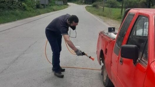 Αχαΐα: Εντατικοποίηση ελέγχων και απολύμανση οχημάτων για την ευλογιά των αιγοπροβάτων ΦΩΤΟ